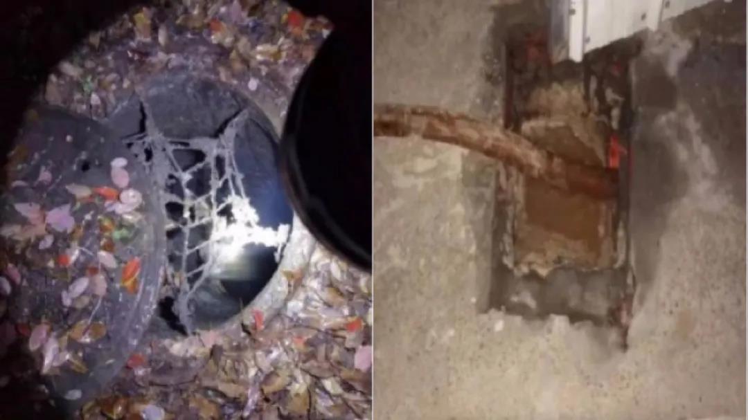 黑娱乐！ 水污染“云溯源”技术助力解决污水处理厂进水异常问题