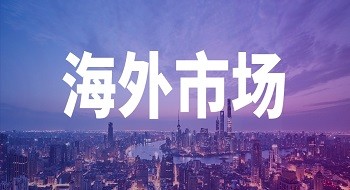 新加坡内政娱乐局到访壹号信息新加坡子公司